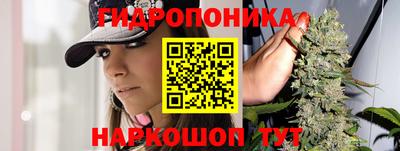 ALPHA-PVP Кунгур