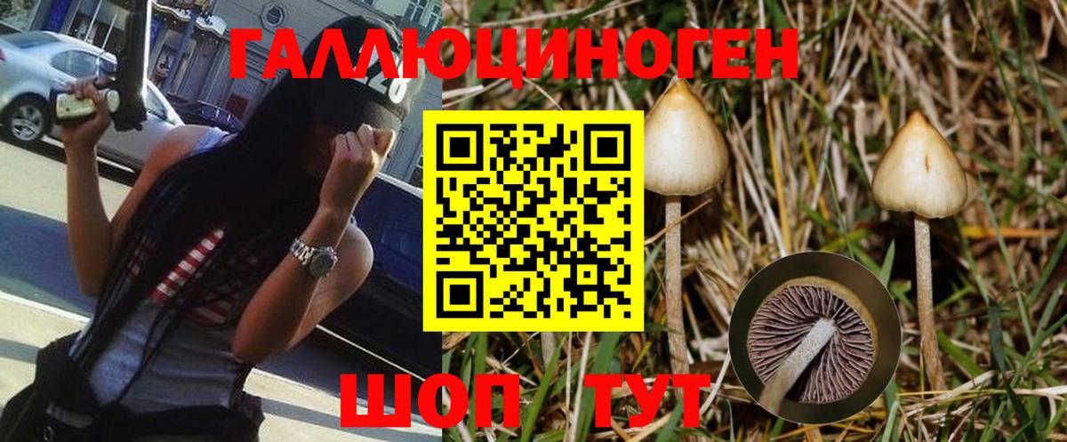 Псилоцибиновые грибы Psilocybe  наркотики  Ижевск  Псилоцибиновые грибы прущие грибы  Вход с VPN 
